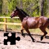 Horse Jigsaw Puzzles