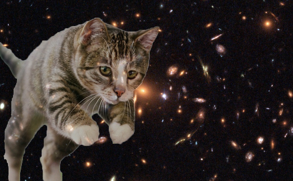 play Cat'S Adventures In Space