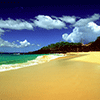 play At The Beach Jigsaw Puzzle