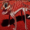 play Cute Red Lizard Puzzle