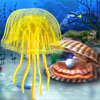play Jellyfish - Sea Puzzle