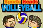 play Sports Heads: Volleyball