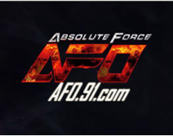 play Absolute Force Online