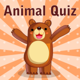 Animal Quiz