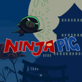 play Ninja Pig