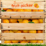 play Fruit Picker