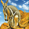 play Kangaroos In The Mountains Slide Puzzle