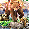 play Grizzly Bear And Cub Bears Slide Puzzle