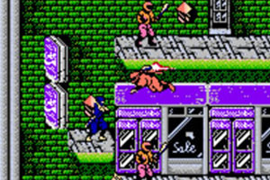 Ninja Gaiden Enhanced