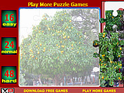 play Orange Tree Jigsaw Puzzle