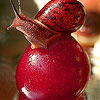 play Red Snail Slide Puzzle