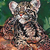 play Tired Baby Tiger Slide Puzzle