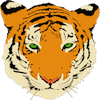 Tiger Jigsaw game
