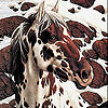 play Snow And Horse Slide Puzzle