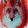 play Red Forest Fox Slide Puzzle