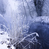 play Jigsaw: This Winter River