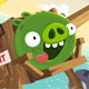 play Bad Piggies