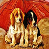 play Red Umbrella Dogs Slide Puzzle
