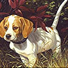 play Alone Dog In The Woods Puzzle