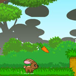 play Fluffy Runner