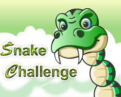 play Snake Challenge
