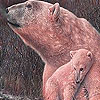play Red Polar Bears Puzzle