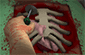 Surgeon Simulator 2013