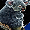 play Acrobat Koala Slide Puzzle