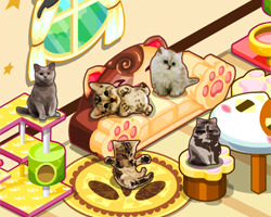 play Cat House