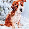 play Red Dog In The Snow Slide Puzzle