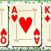 play Poker Open