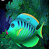 play Red Lipped Sea Fish Slide Puzzle