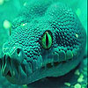 play Angry Green Snake Slide Puzzle