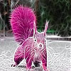 Pink Field Squirrel Slide Puzzle