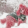 play Snow And Pink Dog Slide Puzzle