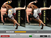 play Ultimate Fighting Differences
