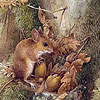 play Field Mouse'S Puzzle