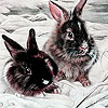play Gray Rabbits In Snow Puzzle