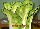 play Chinese Cabbage Room Escape