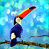 play Colored Beaked Bird Slide Puzzle