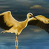 play Great White Storks Puzzle