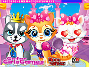 play Pets Beauty Salon Hidden