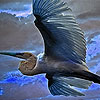 play Flying Blue Stork Puzzle