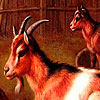 play Red Goats In The Woods Puzzle