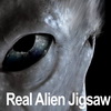 play Real Alien Jigsaw