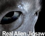 play Real Alien Jigsaw