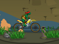 Ninja Turtle Bike