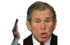 play Slap George Bush