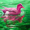 Red River Duck Slide Puzzle