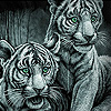 White Funky Tigers Slide Puzzle